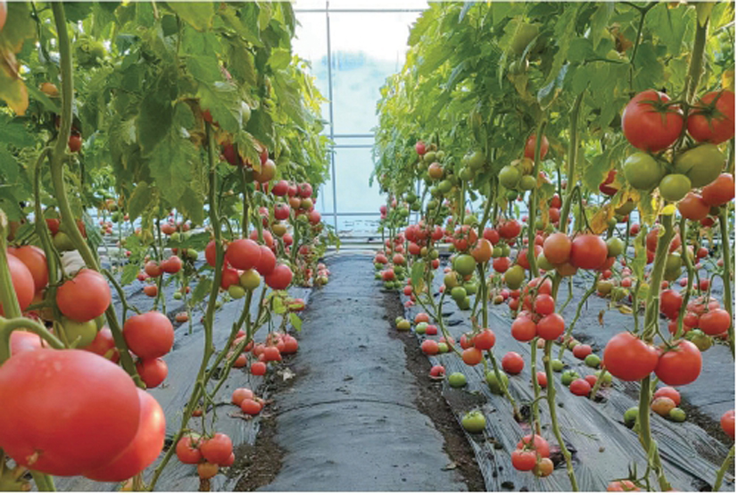 1....</p>


<script type='text/javascript' src='../../g_style/g_list.js'></script><script type='text/javascript' src='../../g_style/12163_g_channel_index.js'></script><script src='/cms/web/writeLog.jsp?siteID=127&channelID=12163' async='async'></script>
<meta name=