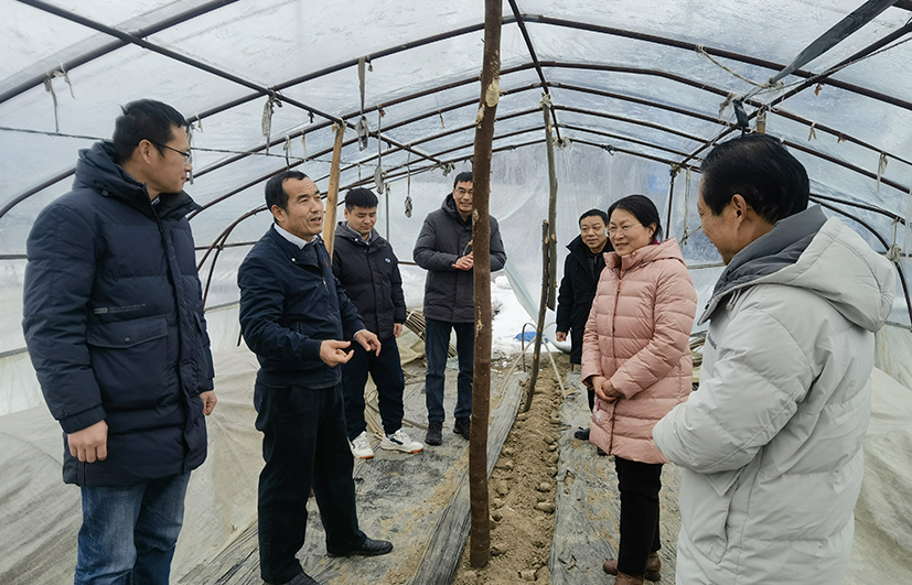 3 邱正明研究员率领小分队在湖北调研指导.jpg