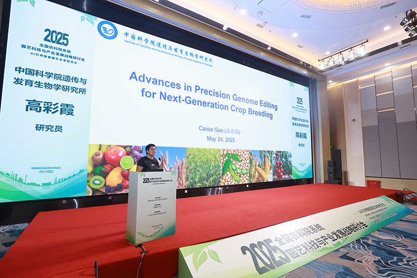 6-高彩霞研究员主旨报告.jpg